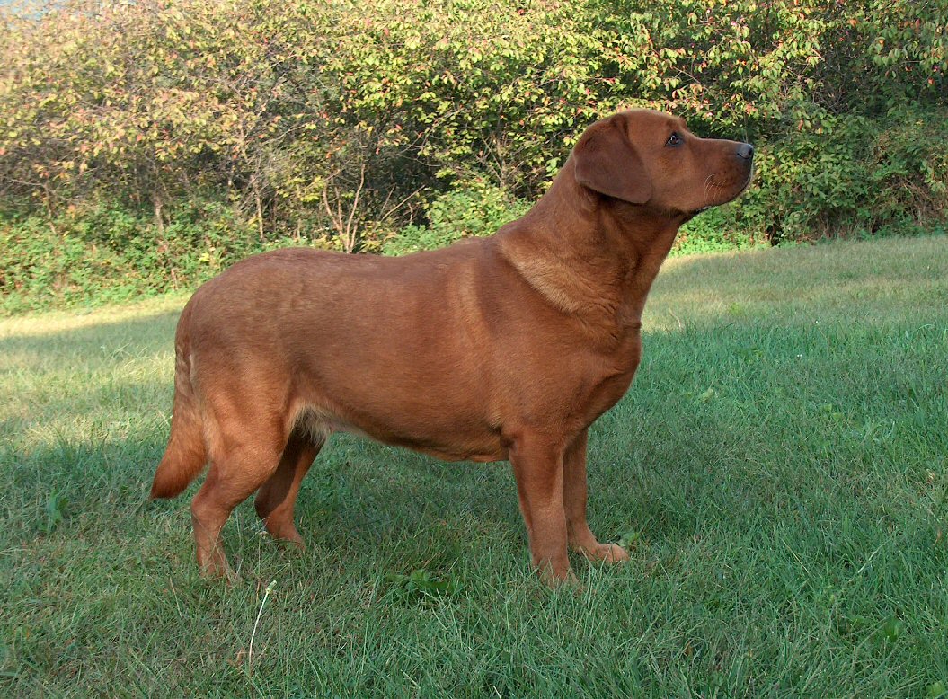 Teal at 4 yrs